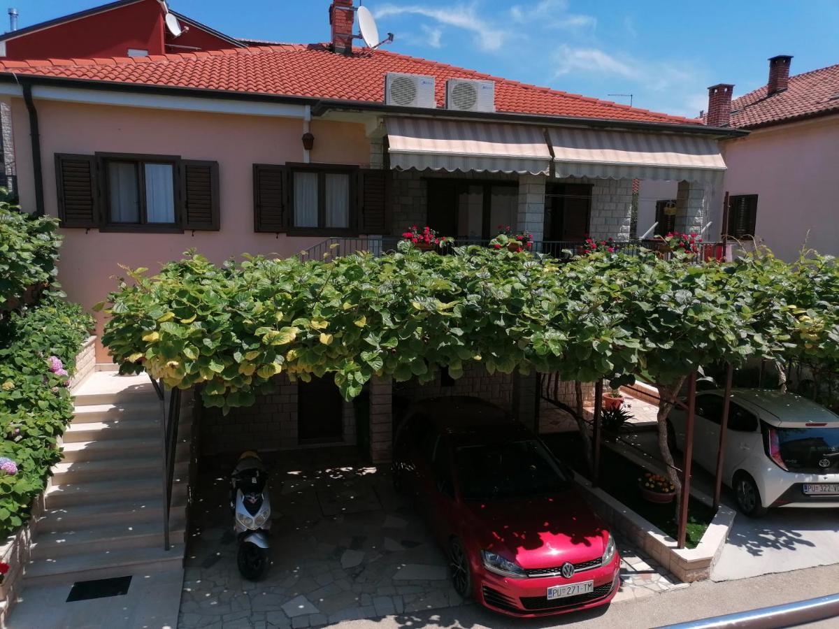 Apartman Bruna Novigrad  Bagian luar foto