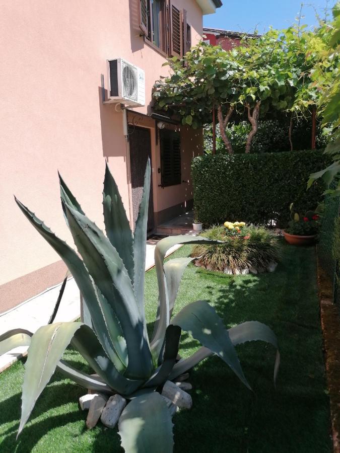 Apartman Bruna Novigrad  Bagian luar foto