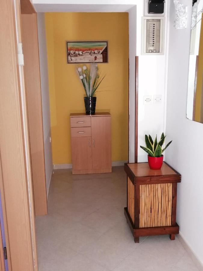 Apartman Bruna Novigrad  Bagian luar foto